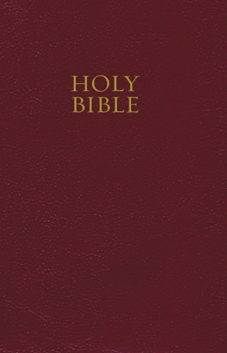 Holy Bible: Gift And Award Edition [Red Imitation Leather]