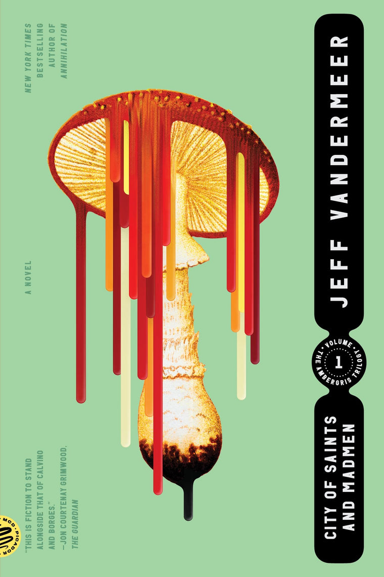 City of Saints and Madmen (The Ambergris Trilogy, 1)