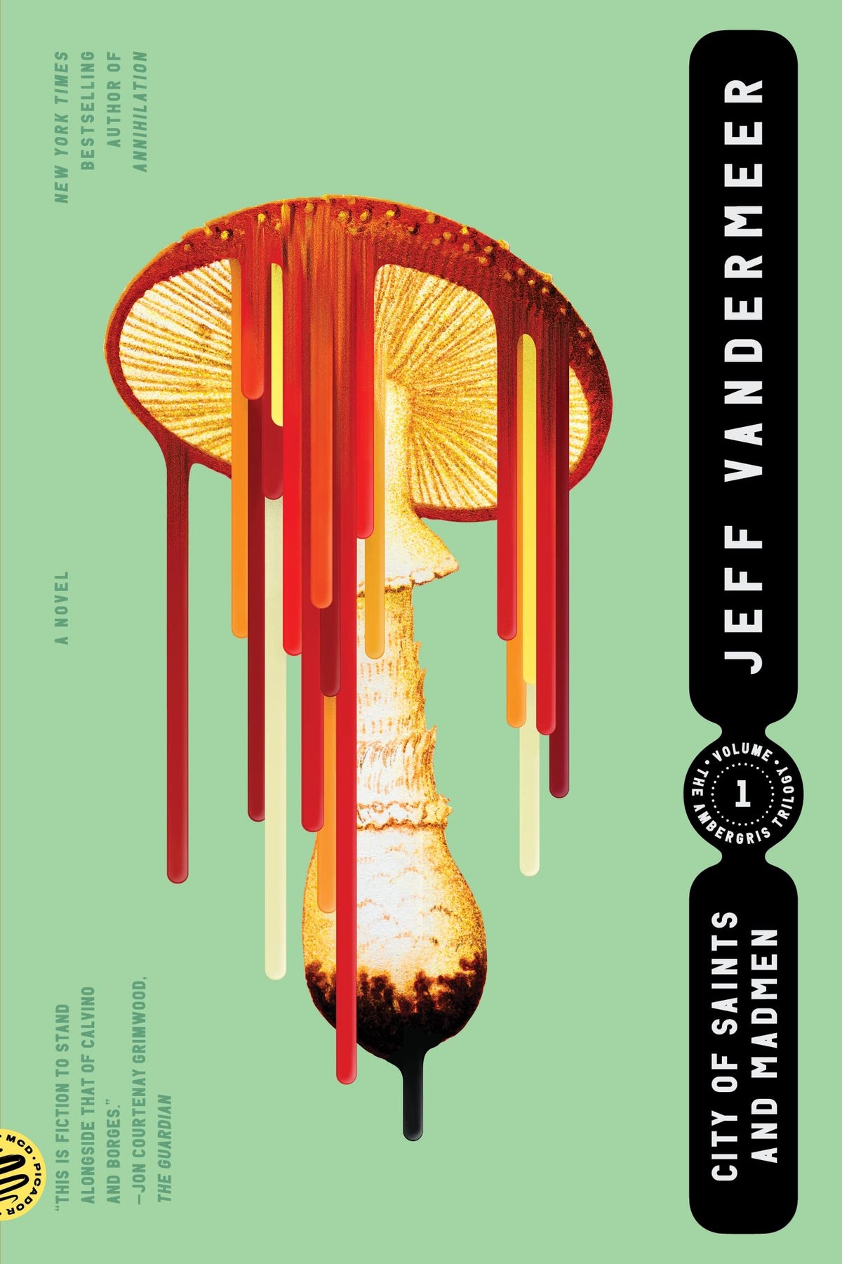 City of Saints and Madmen (The Ambergris Trilogy, 1)