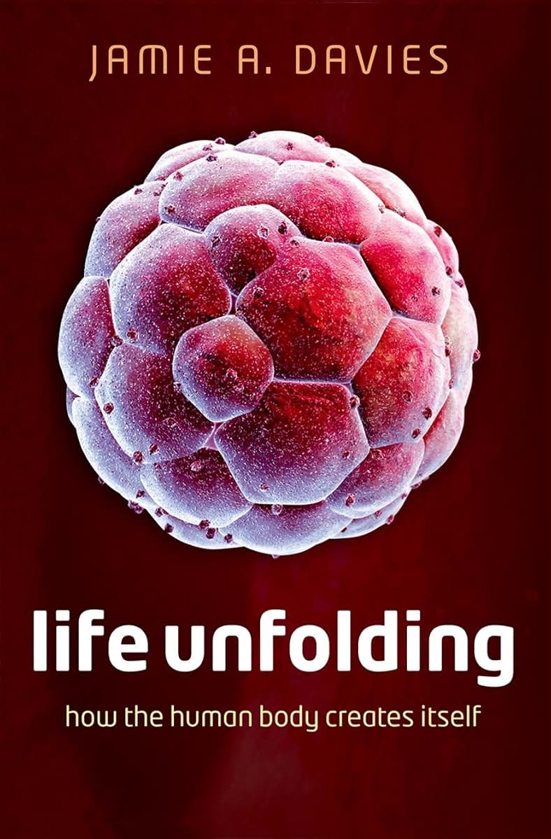 Life Unfolding: How the human body creates itself
