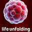 Life Unfolding: How the human body creates itself