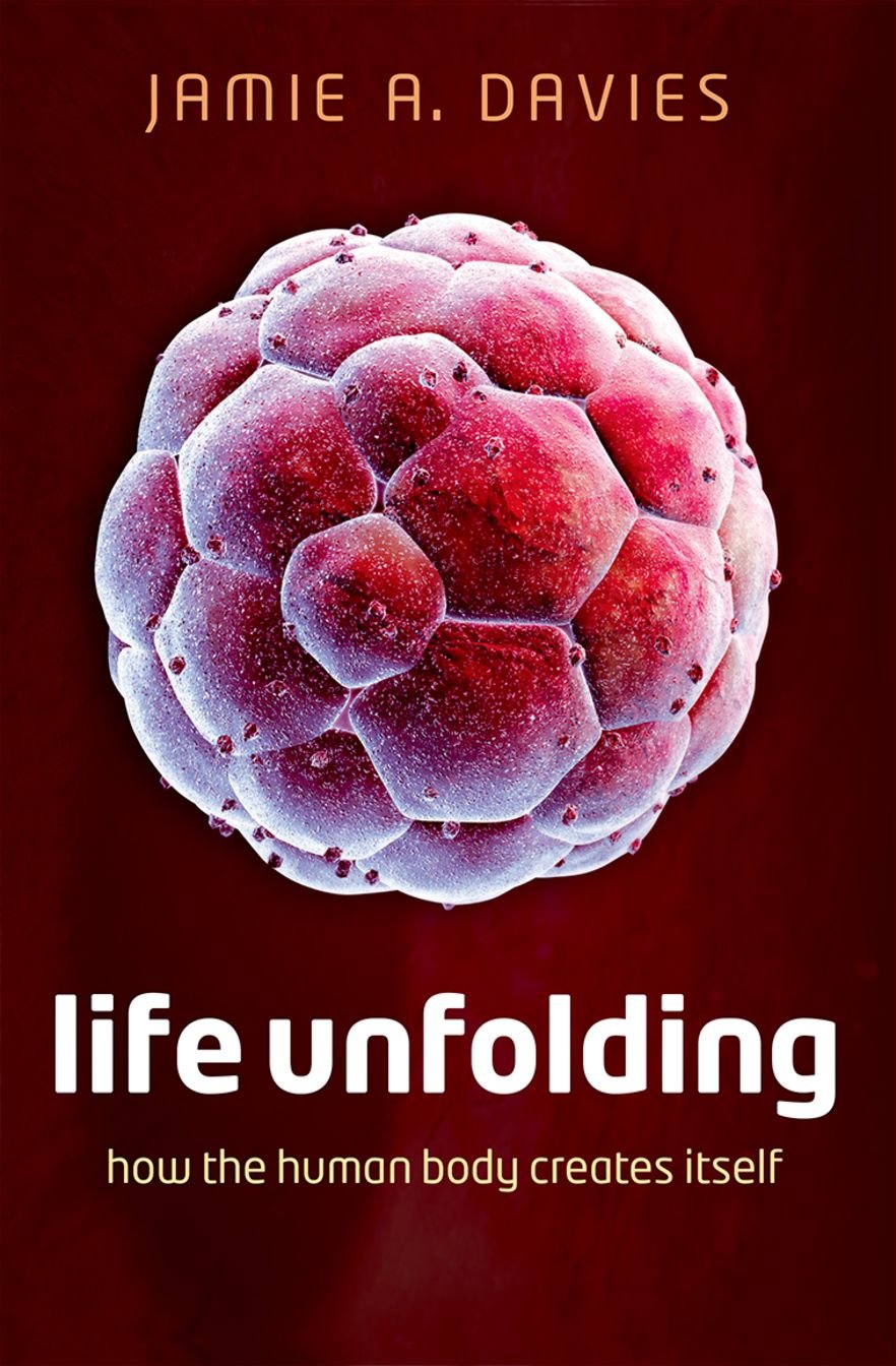 Life Unfolding: How the human body creates itself