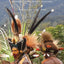 Lost Worlds: Adventures in the Tropical Rainforest