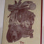 The Animal-Speak Workbook