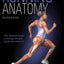 Running Anatomy