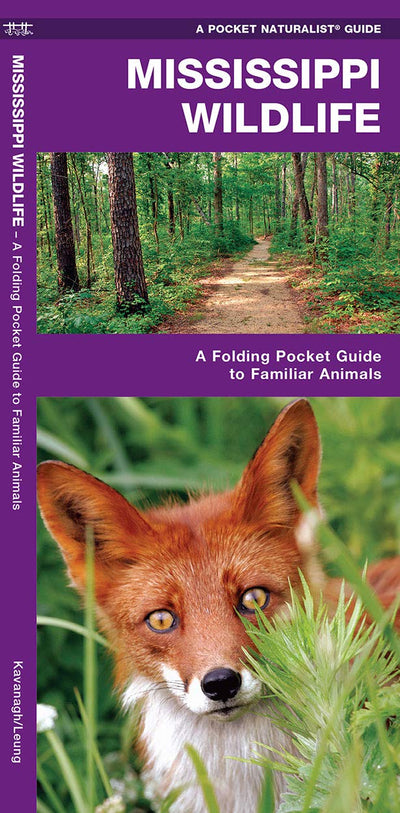 Mississippi Wildlife: A Folding Pocket Guide to Familiar Animals (Wildlife and Nature Identification)