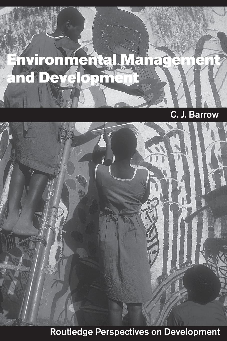 Environmental Management and Development (Routledge Perspectives on Development)