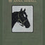 The Illustrated Black Beauty: 100 Illustrations