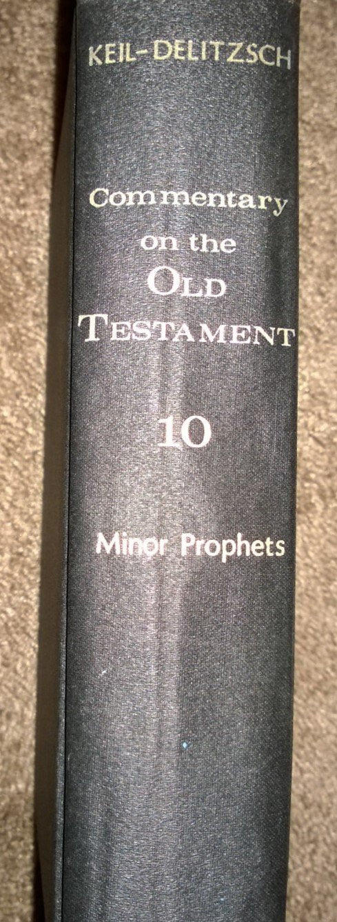 Commentary on the Old Testament: Minor Prophets v. 10