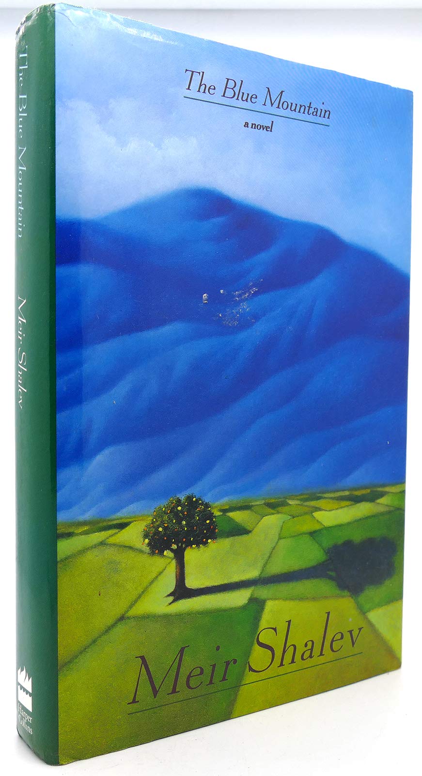 The Blue Mountain: A Novel