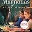 The Sweet Magnolias 4 Book Set by Sherryl Woods (Stealing Home, A Slice of Heaven, Feels Like Family and Welcome to Serenity)