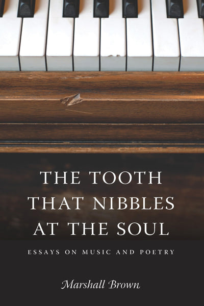 The Tooth That Nibbles at the Soul: Essays on Music and Poetry (Literary Conjugations)