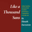 Like a Thousand Suns: The Bhagavad Gita for Daily Living, Volume 2 (The Bhagavad Gita for Daily Living, Vol. 2)