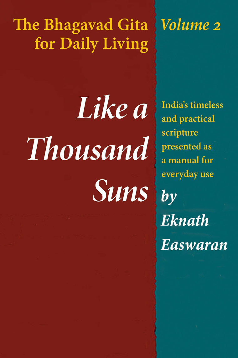 Like a Thousand Suns: The Bhagavad Gita for Daily Living, Volume 2 (The Bhagavad Gita for Daily Living, Vol. 2)