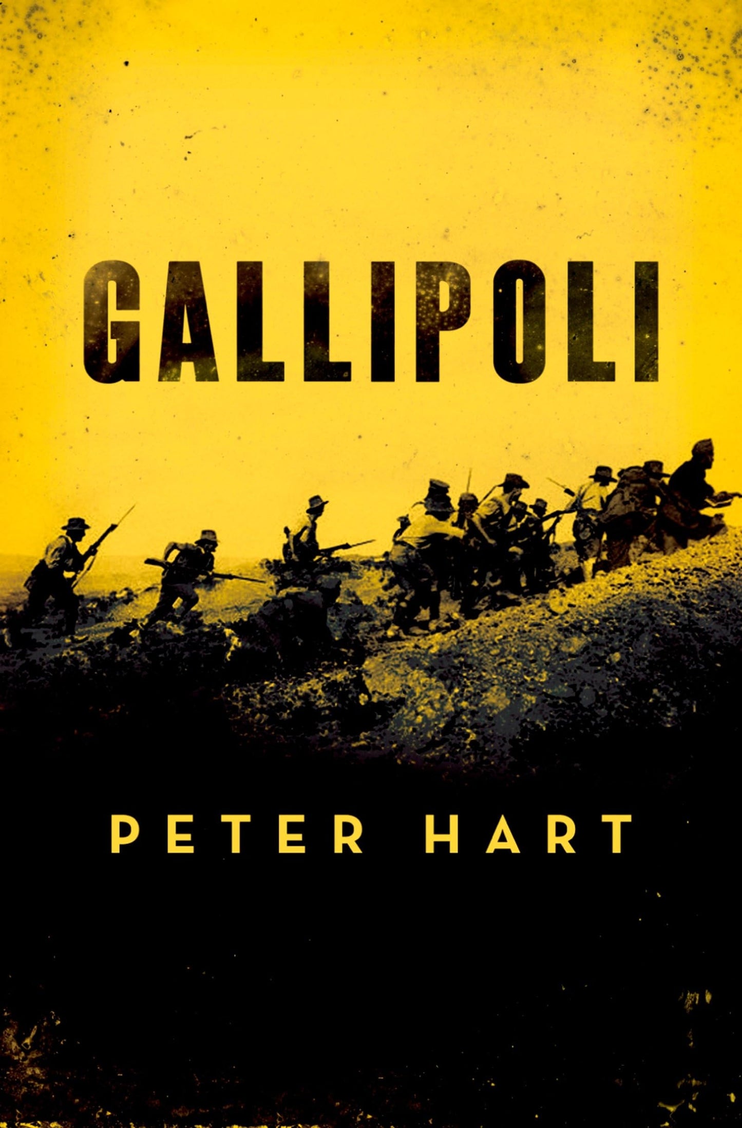 Gallipoli by Peter Hart (Paperback)