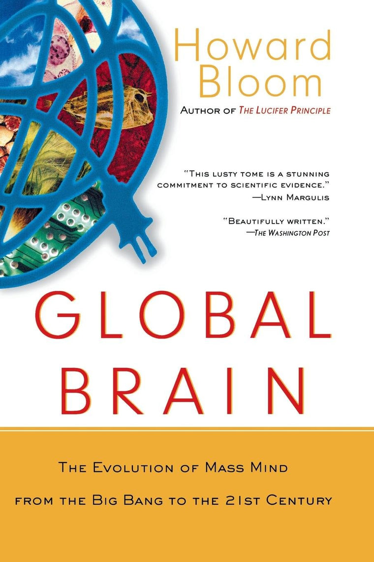 Global Brain: The Evolution of Mass Mind from the Big Bang t