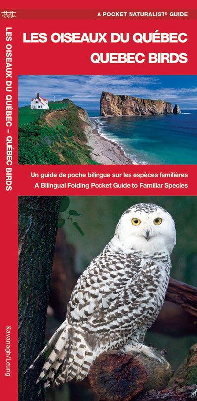 Les Oiseaux du Québec/Quebec Birds: Un guide de poche bilingue sur les espces familire/A Bilingual Folding Pocket Guide to Familiar Species (Wildlife and Nature Identification)