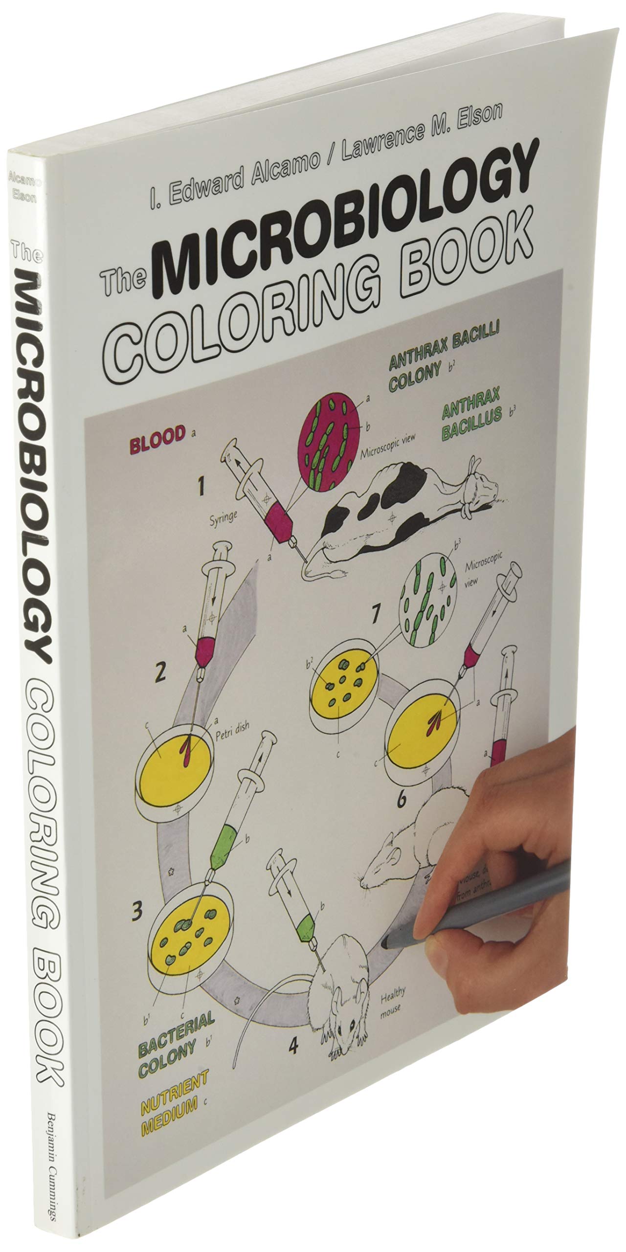 The Microbiology Coloring Book