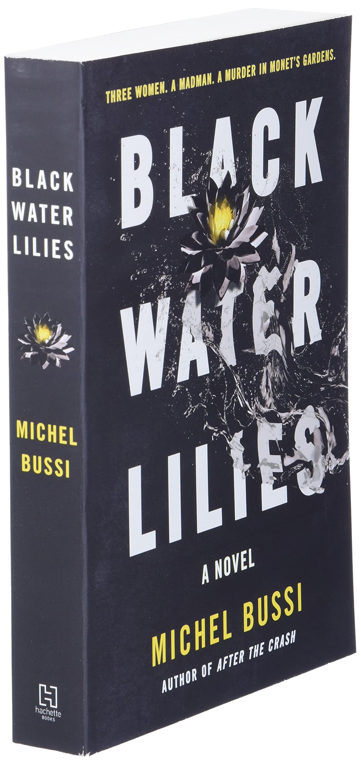 Black Water Lilies: A Novel
