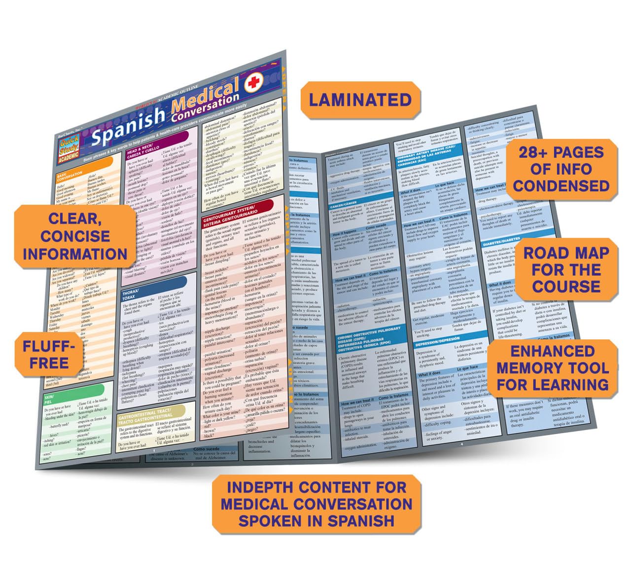Spanish Medical Conversation QuickStudy Laminated Reference Guide (QuickStudy Academic)
