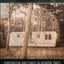 Dancing at Armageddon: Survivalism and Chaos in Modern Times