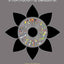 Information Is Beautiful (New Edition)