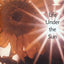 Life Under the Sun