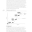 Revenue Architecture