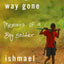 A Long Way Gone: Memoirs of a Boy Soldier