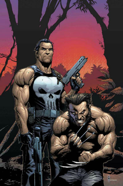 Wolverine/punisher (1) (Marvel Knights)