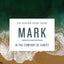 Mark Bible Study Guide: In the Company of Christ (40 Days Th
