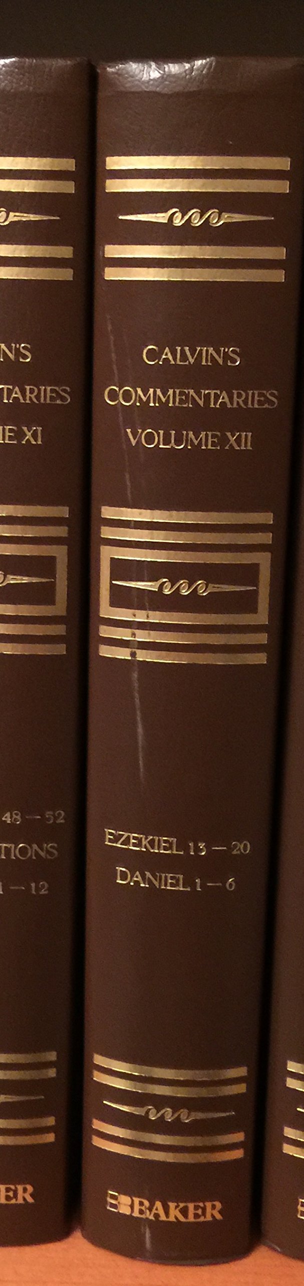 Calvins Commentaries (22 Volume Set)