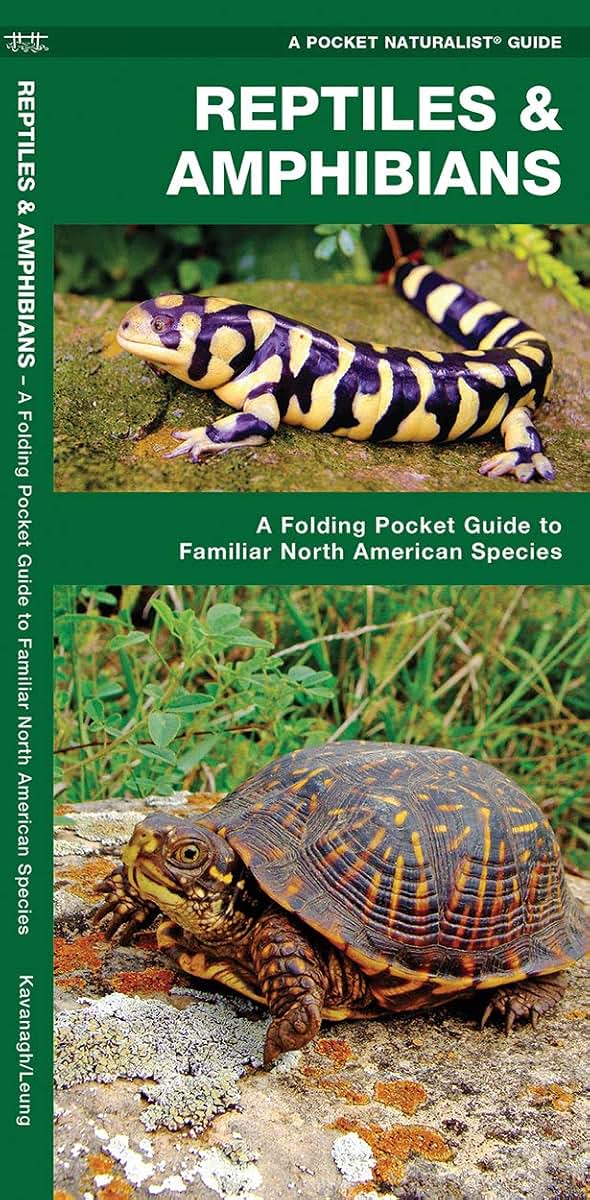 Reptiles & Amphibians: A Folding Pocket Guide to Familiar North American Species (Wildlife and Nature Identification)