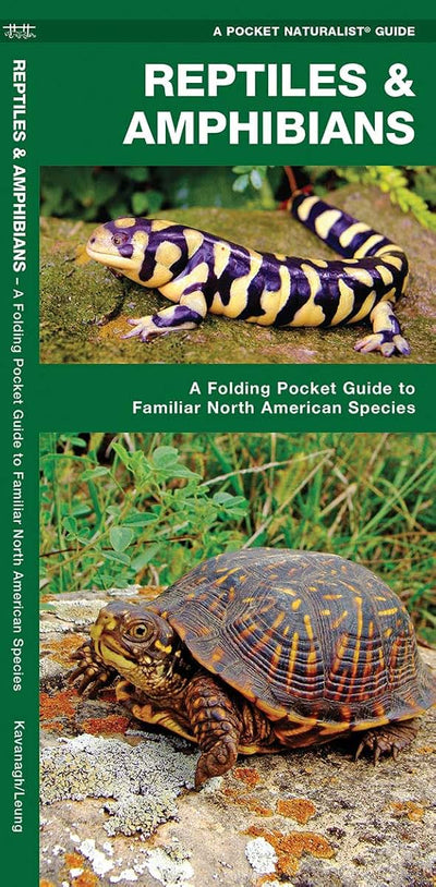 Reptiles & Amphibians: A Folding Pocket Guide to Familiar North American Species (Wildlife and Nature Identification)