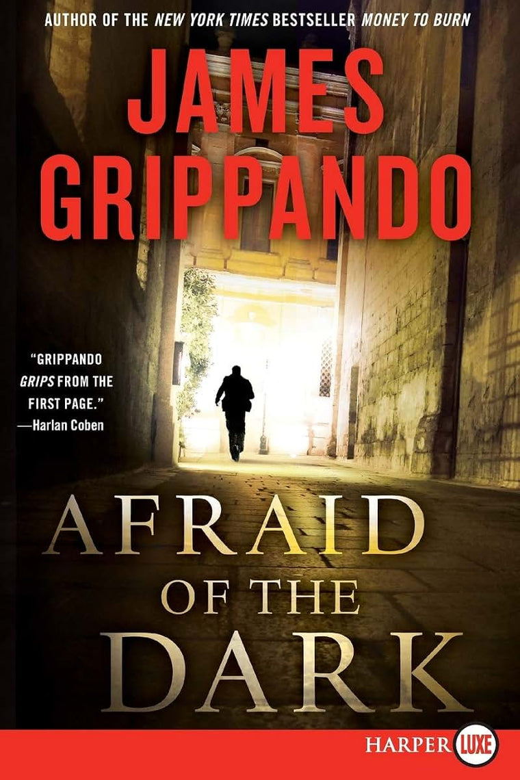 Afraid of the Dark: A Novel of Suspense (Jack Swyteck Novel, 9)