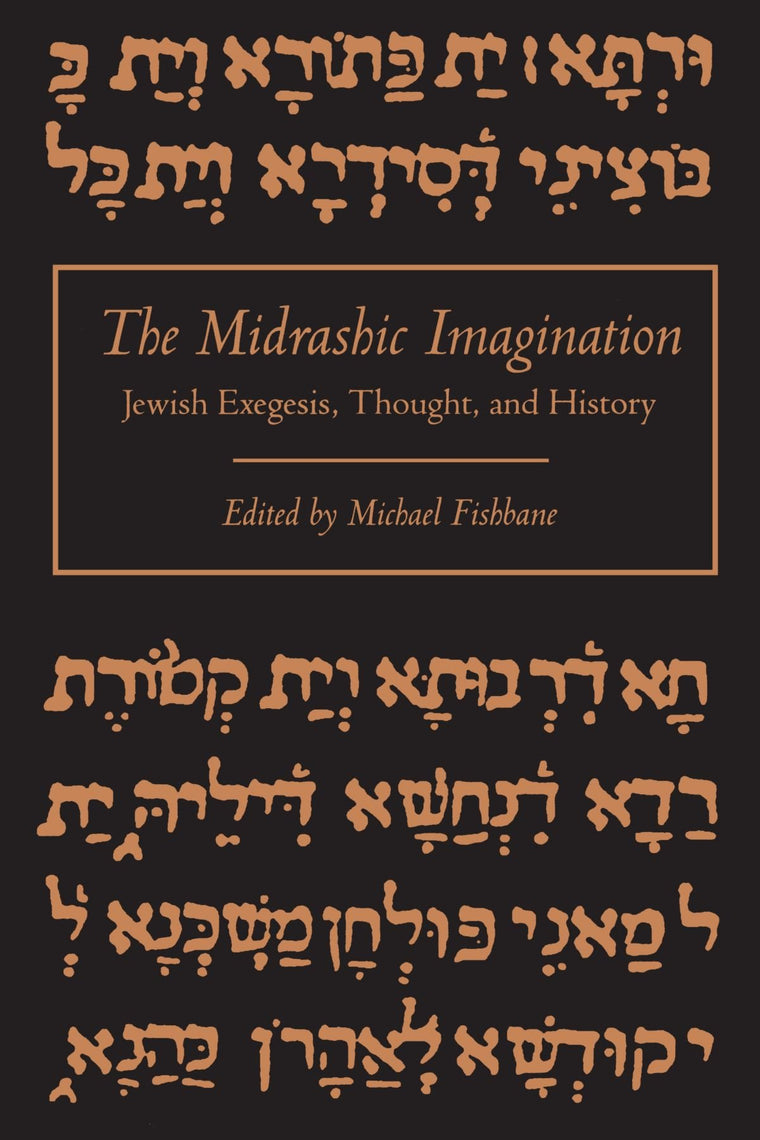 The Midrashic Imagination Jewish Exegesis, Thought, and History
