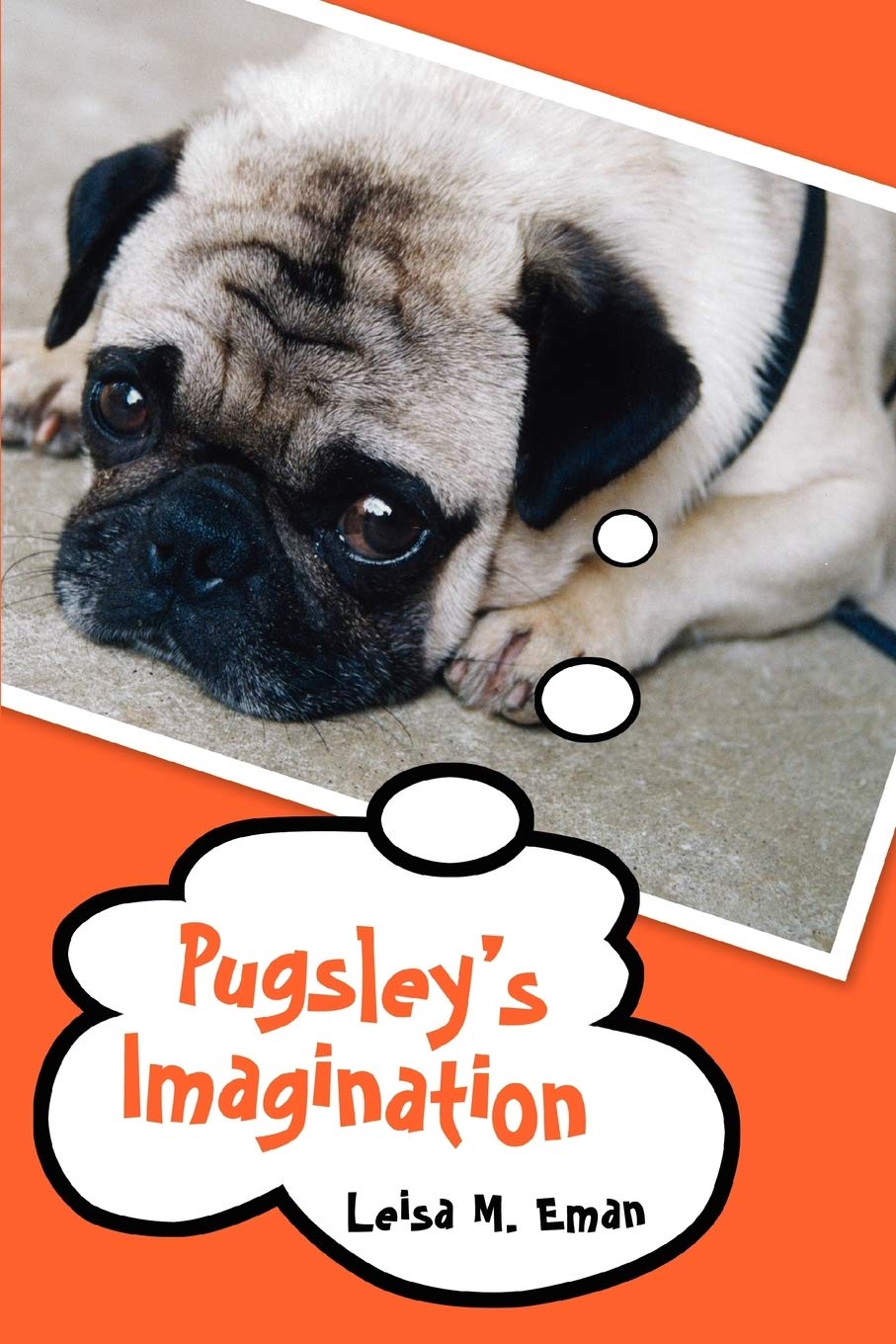 PUGSLEYS IMAGINATION