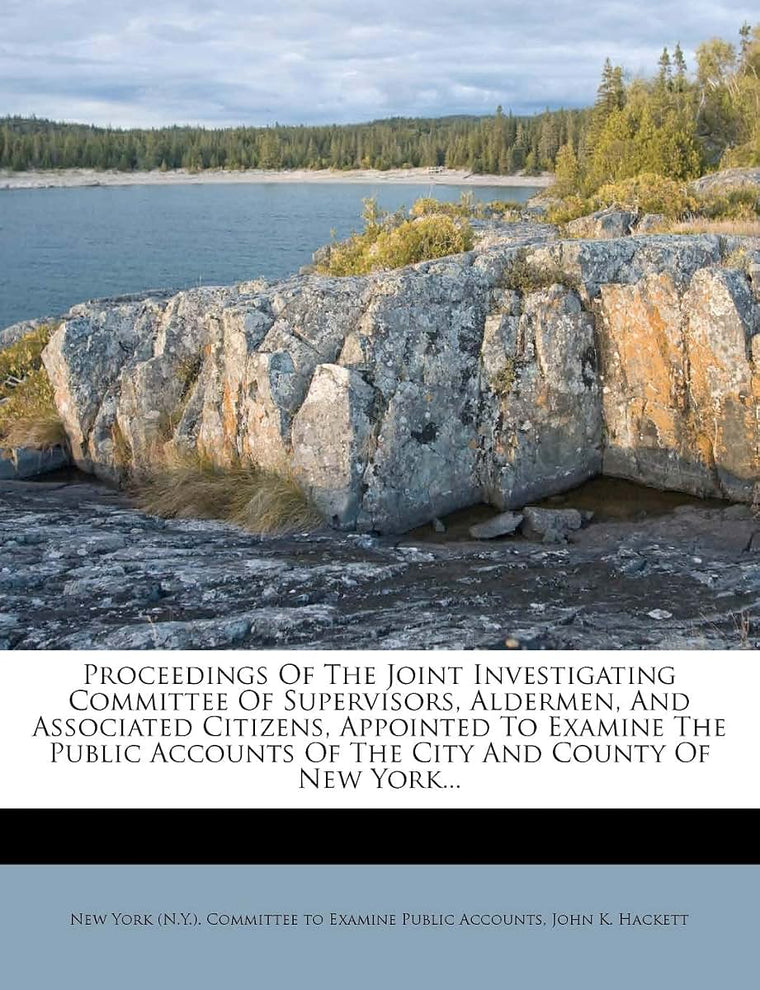 Proceedings of the Joint Investigating Committee of Supervisors, Aldermen, and Associated Citizens, Appointed to Examine the Public Accounts of the City and County of New York...