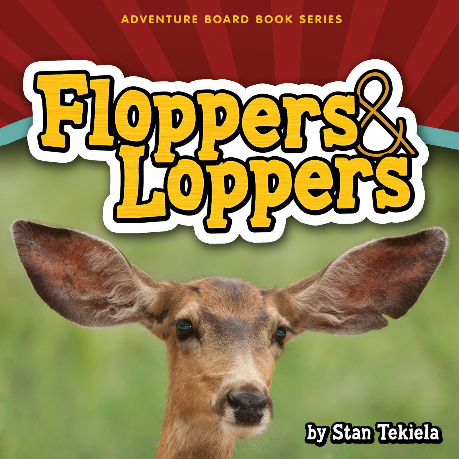 Floppers & Loppers (Adventure Boardbook Series)