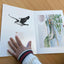 The Art of Elsa Beskow: 20 Pull-Out Frameable Prints: Vintage Scandinavian Wall Prints