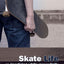 Skate Life: Re-Imagining White Masculinity (Technologies of the Imagination: New Media in Everyday Life)