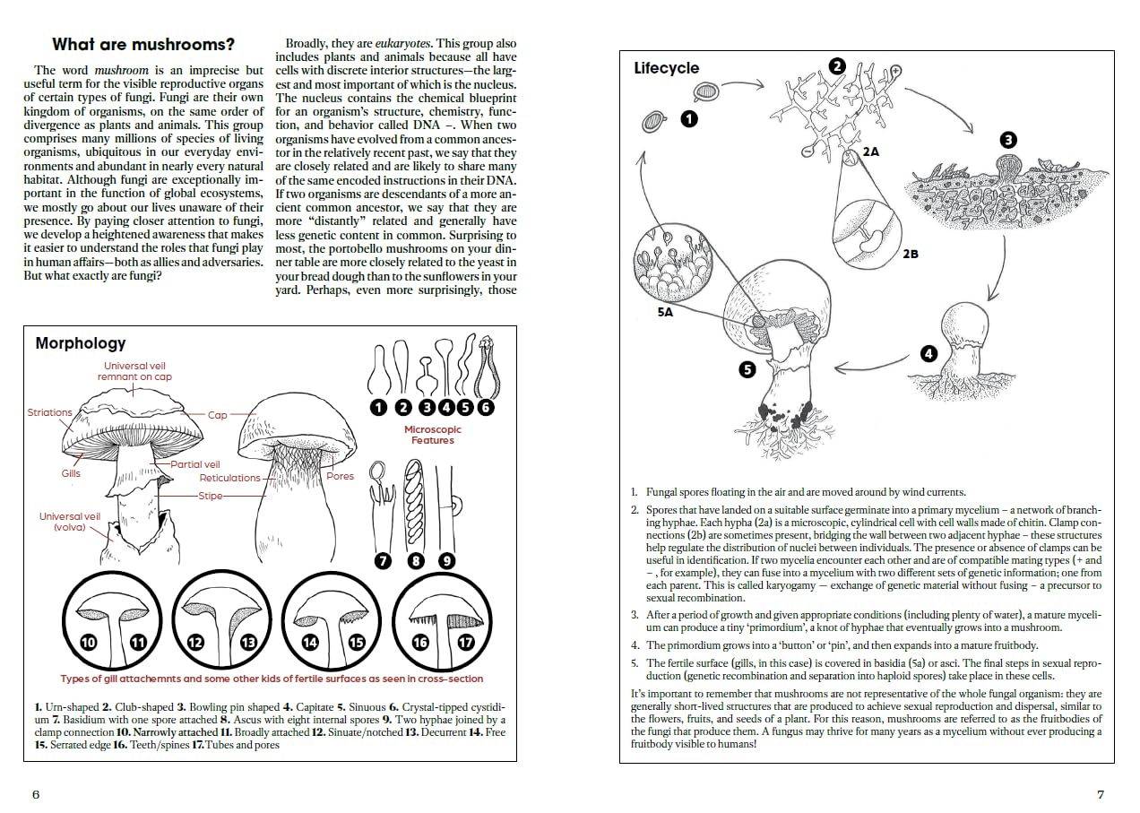 Mushrooms of Cascadia: A Comprehensive Guide to Fungi of the Pacific Northwest