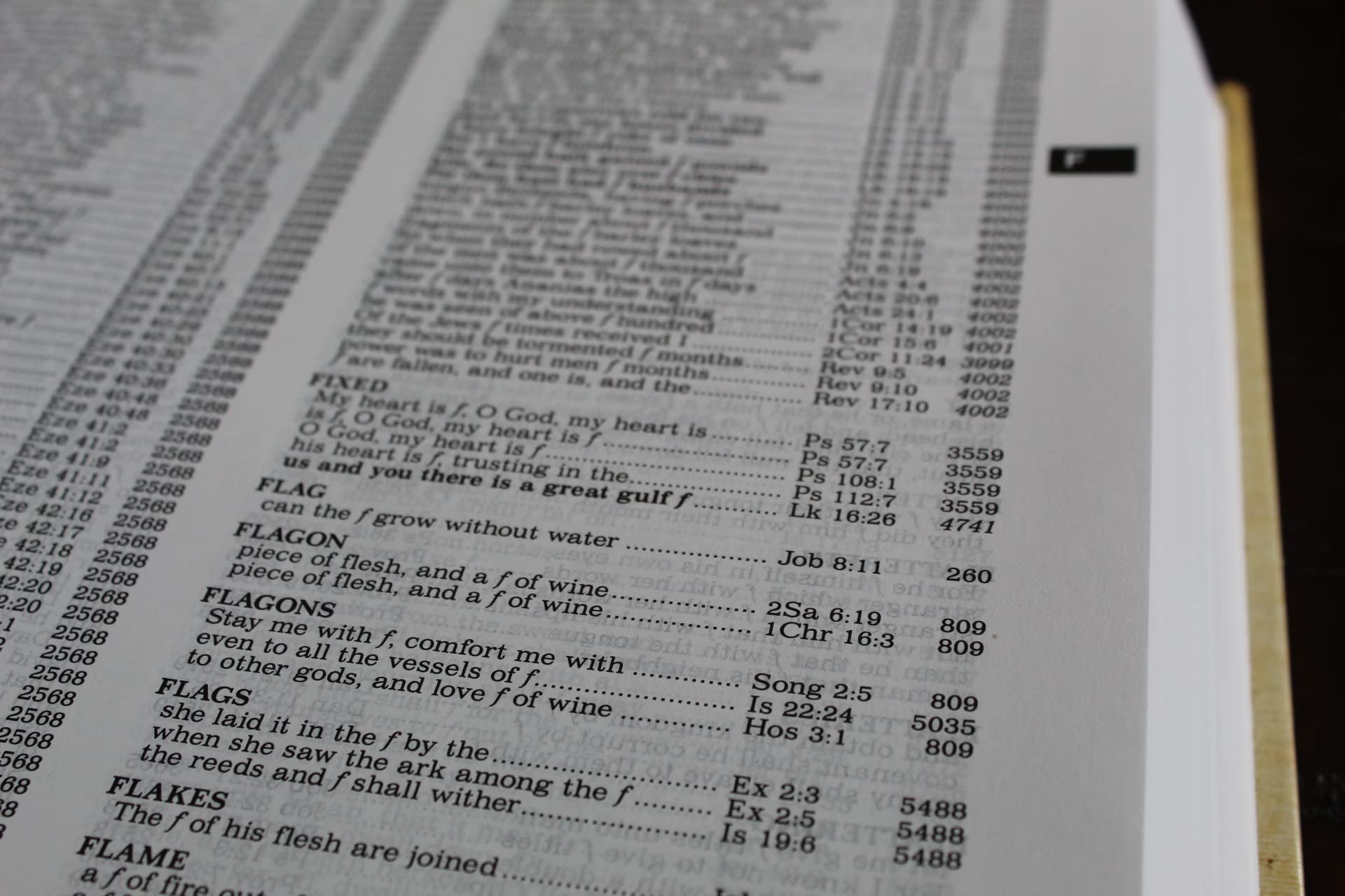 The New Strong's Exhaustive Concordance of the Bible: Every Word of the Bible Indexed, Large Print Edition