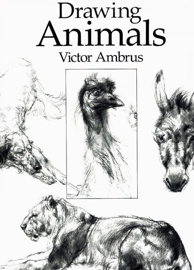Drawing Animals
