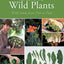 Edible Wild Plants: Wild Foods From Dirt To Plate (The Wild Food Adventure Series, Book 1)