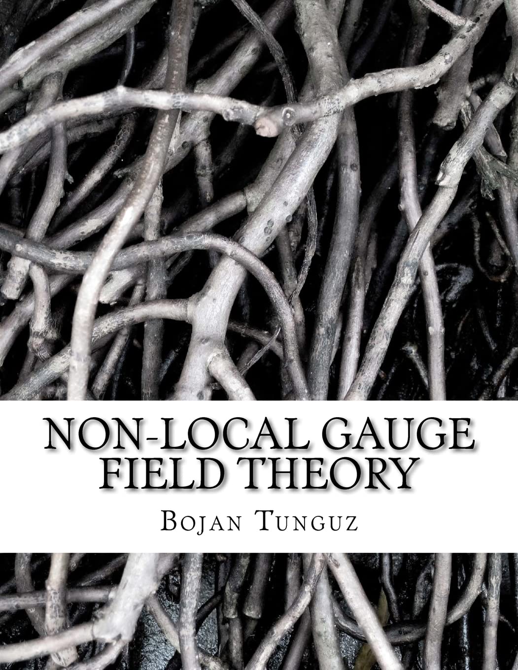 Non-local Gauge Field Theory