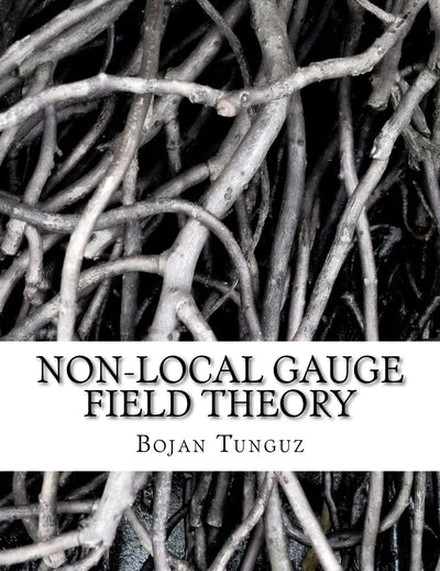 Non-local Gauge Field Theory