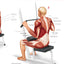 Student's Anatomy of Exercise Manual: 50 Essential Exercises Including Weights, Stretches, and Cardio