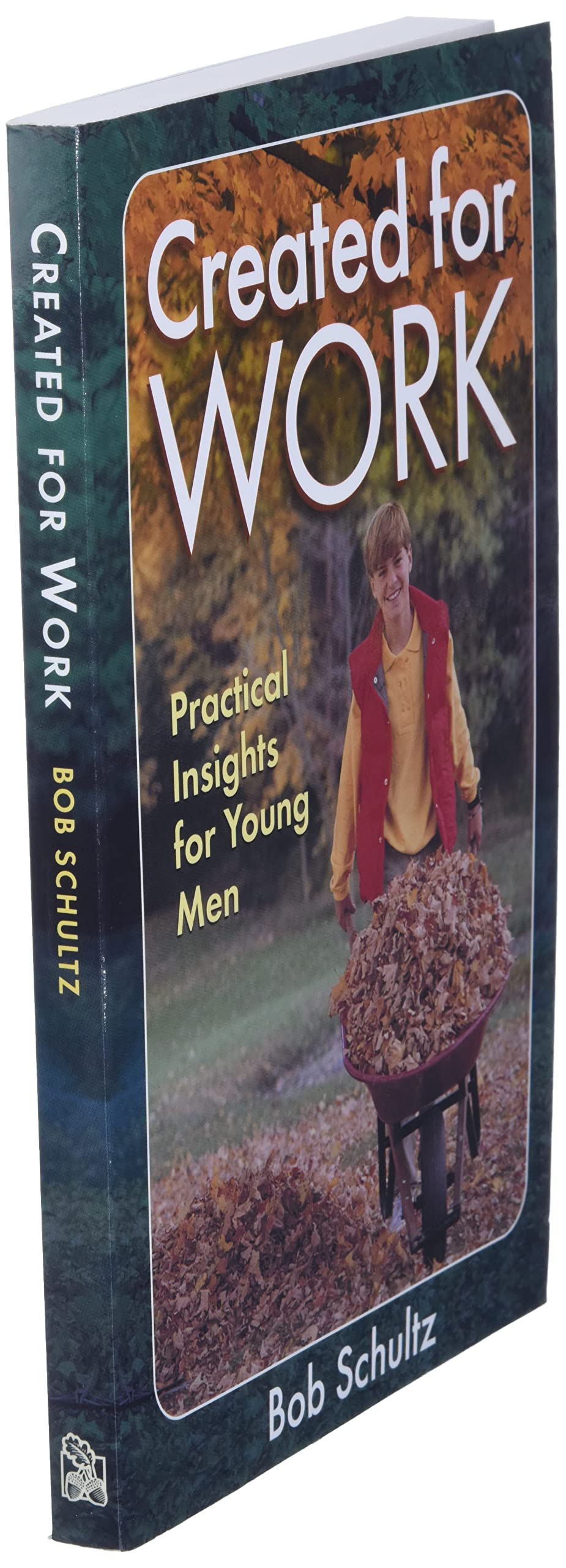 Created for Work: Practical Insights for Young Men