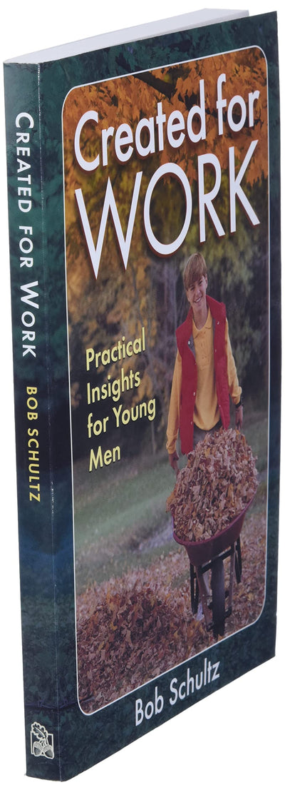 Created for Work: Practical Insights for Young Men